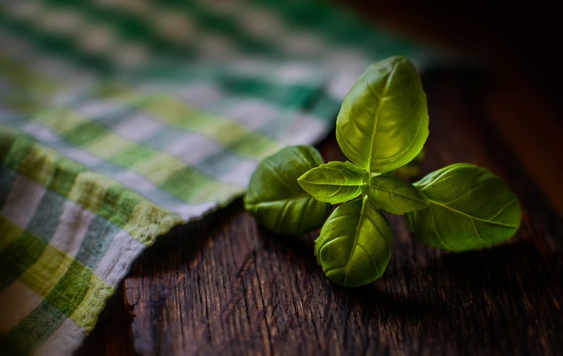 Herbs and Vegetables