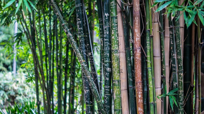 Sustainable Materials